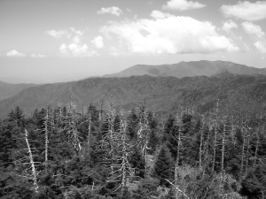 View from Clingman's Dome, Great Smoky Mtn National Park, taken in Black and White mode